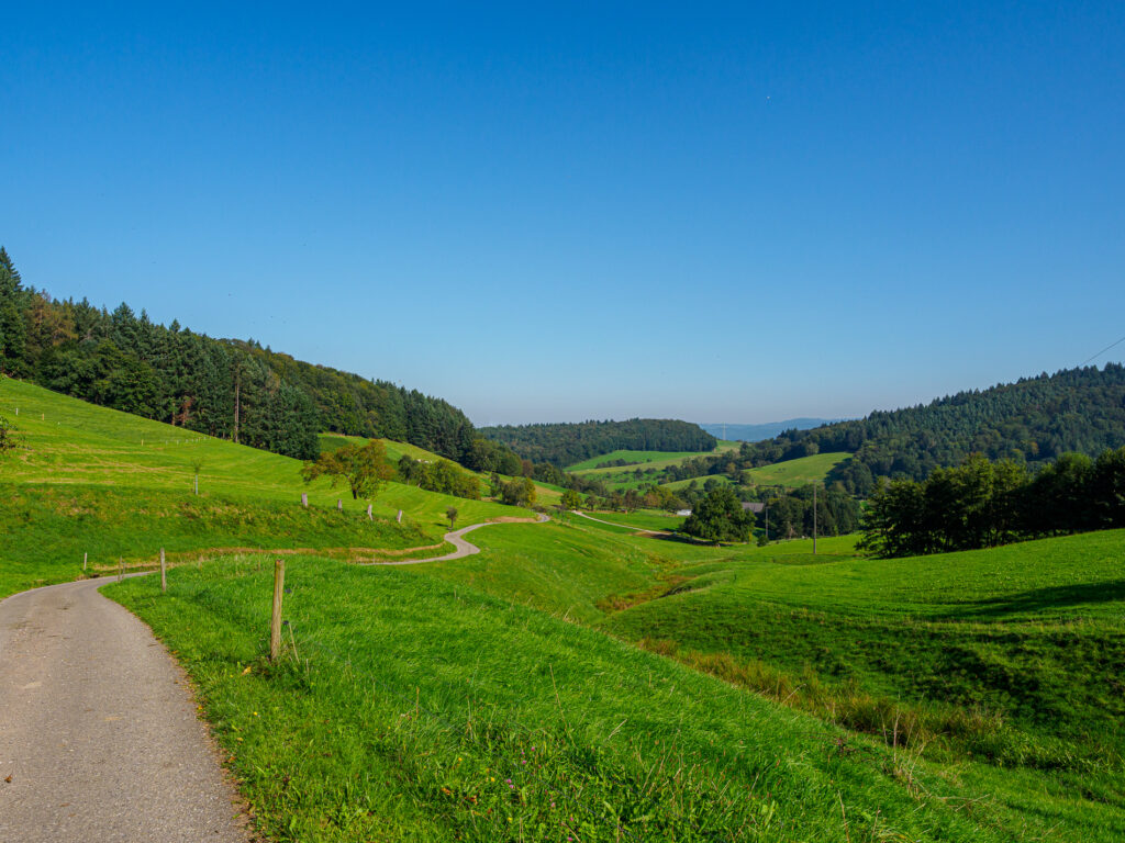 Befestigter Radweg durch ein grünes Tal im Schwarzwald