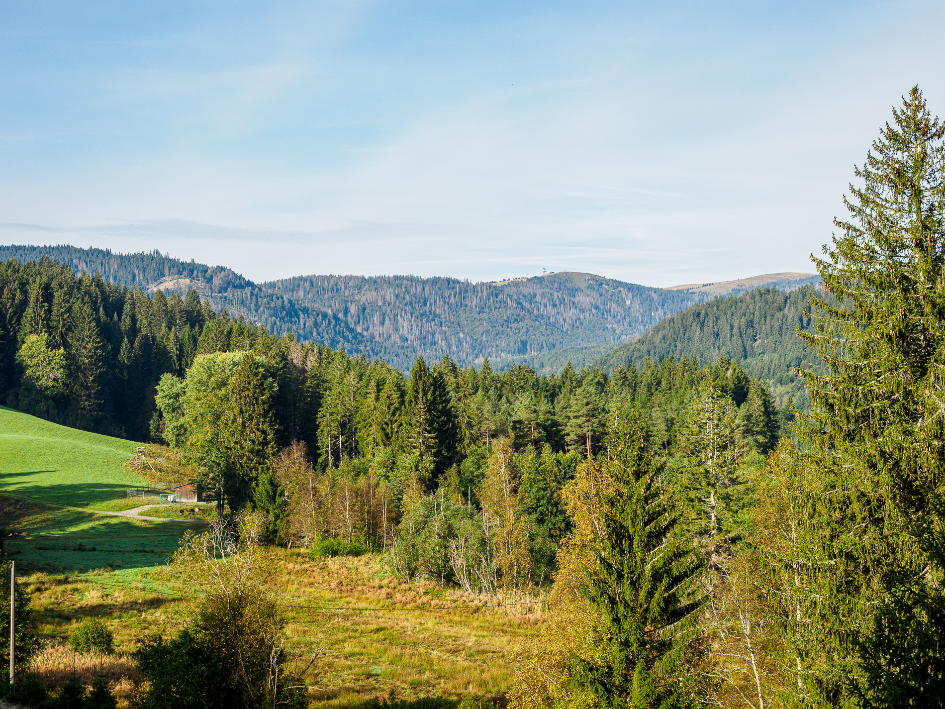 Ausblick über den Schwarzwald